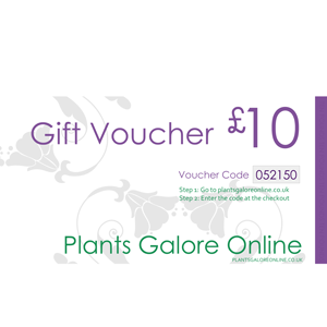 £10.00 Plants Galore Gift Voucher