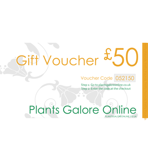 £50.00 Plants Galore Gift Voucher