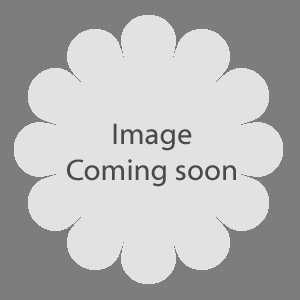 Achillea Millefolium Cerise Queen 1ltr
