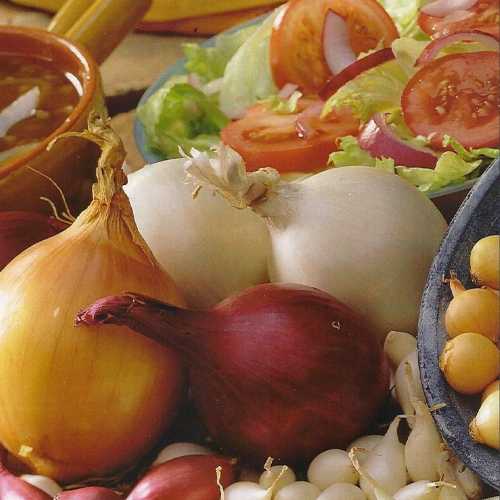Buy Onion Sets Online Order Onion Sets Online Onion Sets For Sale