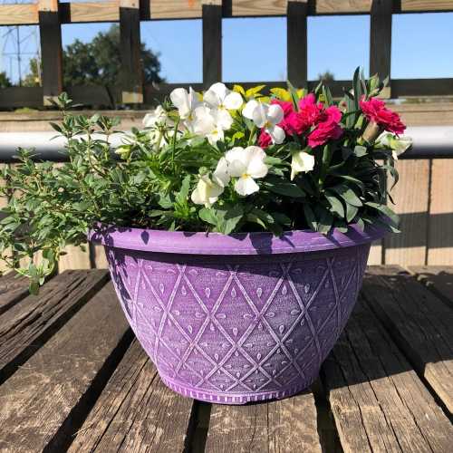 Buy Autumn Winter Mixed Patio Tub Buy Winter Planters