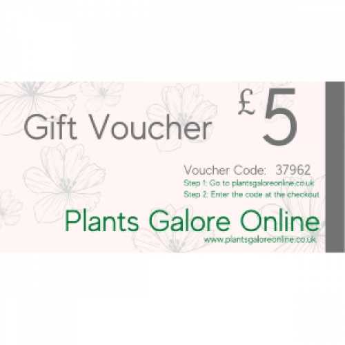 Buy Plants Galore Gift Vouchers Online