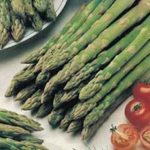 Asparagus Connovers Colossal 2 Ltr