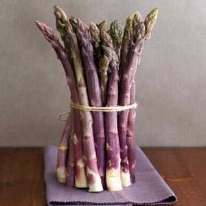 Asparagus Purple Passion 2 Ltr
