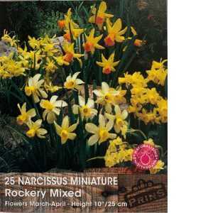 Narcissus Miniature Rockery Mixed Bulbs (Daffodil) 25 Per Pack