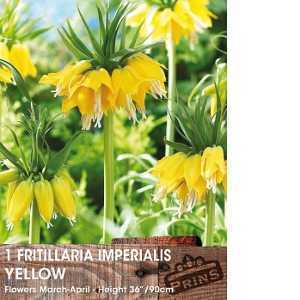 Fritillaria Imperialis Bulbs Yellow 1 Per Pack