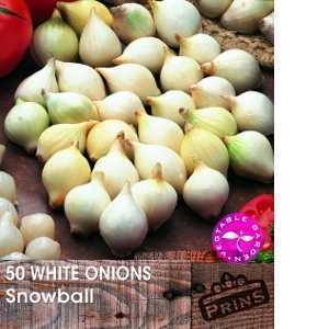 Onions White Snowball Sets Bulbs 50 Per Pack