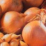 Yellow Onion Sets Sturon 50 Per Pack