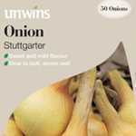 Onions Stuttgarter Sets/Bulbs 50 Per Pack