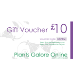 £10.00 Plants Galore Gift Voucher