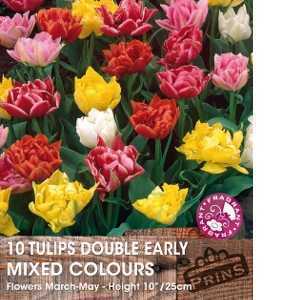 Tulip Bulbs Double Early Mixed Colours 10 Per Pack