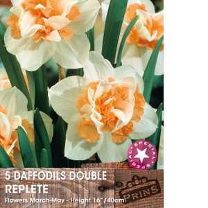 Daffodil Bulbs Double Replete 5 Per Pack