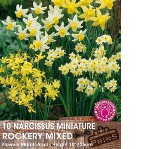 Narcissus Miniature Rockery Mixed Bulbs (Daffodil) 10 Per Pack