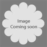 Clematis Montana Marjorie Trellis Climber 20ltr