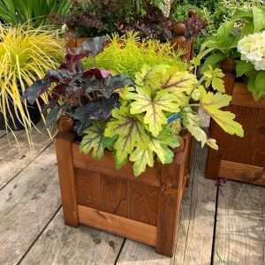 AFK Garden - Classic Planter Beech 15 inch