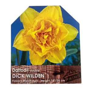 Daffodil Double Dick Wilden Bulbs 25Kg Sack