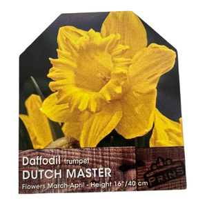 Daffodil Trumpet Dutch Master Bulbs 25Kg Sack