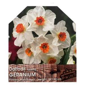 Daffodil Tazetta Geranium Bulbs 25Kg Sack