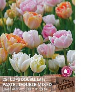 Tulip Bulbs Double Late Pastel Double Mixed 25 per pack