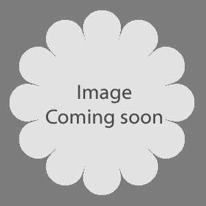 2 x 5ltr Hydrangea Mophead Pink