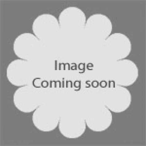 Geranium Macrorrhizum Czakor