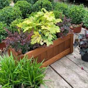 AFK Garden - Classic Trough Beech 34 inch