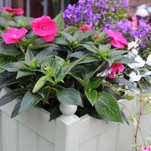 AFK Garden Classic Painted Troughs Heritage Sage 26 Inch