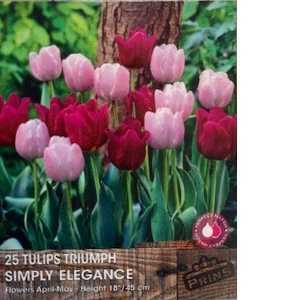 Tulip Bulbs Triumph Simply Elegance 25 Per Pack