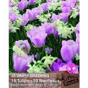 Simply Smashing Tulip and Narcissus 25 Per Pack