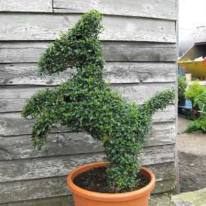 Topiary Horse 65cm