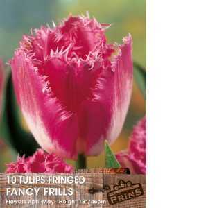 Tulip Bulbs Fringed Fancy Frills  10 Per Pack