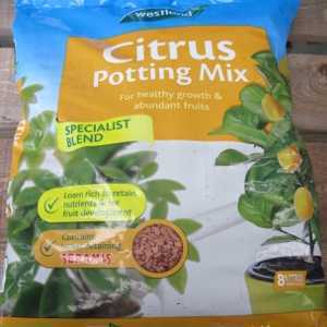 Citrus Potting Mix by Westland 8ltr