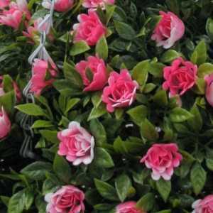 Artificial Pink Rose Hanging Topiary Ball 30cm