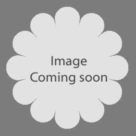 Syringa Minuet (Lilac)