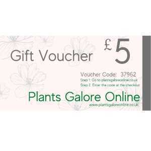 £5.00 Plants Galore Gift Voucher