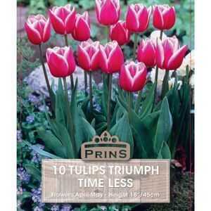 Tulip Triumph Time Less 10 Per Pack