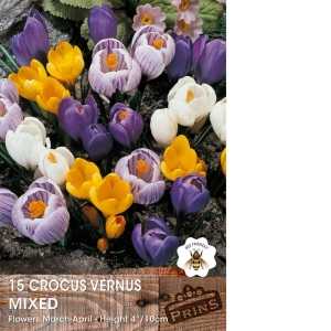 Crocus Vernus Mixed Bulbs 15 Per Pack