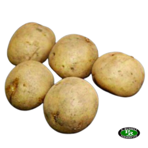 Swift Seed Potatoes 2kg - First Early