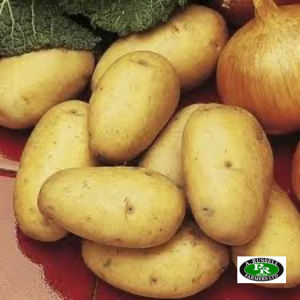 Kestrel Seed Potatoes 2kg - Second Early