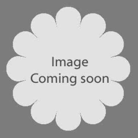 mixed Geranium 10 pack