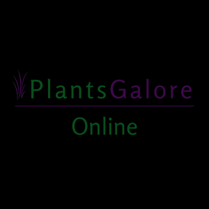 Extra Payment Gift Voucher Spend