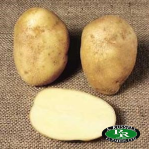 Wilja Seed Potatoes -2kg Second Early