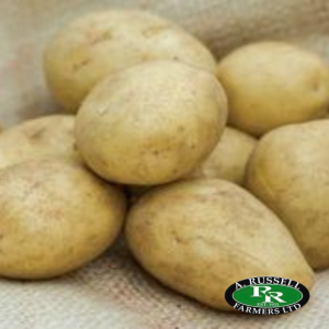 Orla Seed Potatoes - 2kg Main Crop