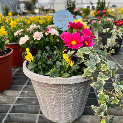 Mother’s Day Patio Planter