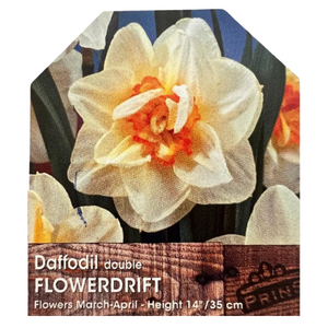 Daffodil Double Flowerdrift Bulbs 3Kg Bag