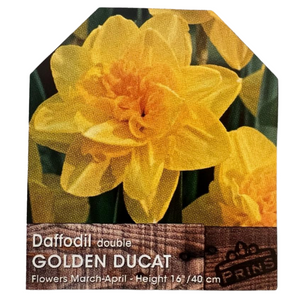 Daffodil Double Golden Ducat Bulbs 3Kg Bag