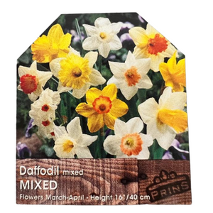 Daffodil Bulbs 'Mixed' 3Kg Bag