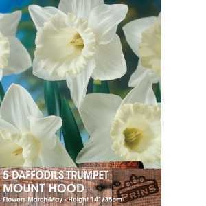 Daffodil Bulbs Trumpet Mount Hood 3kg Sack