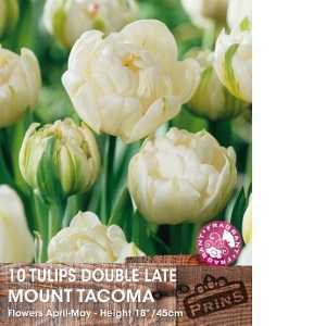 Tulip Bulbs Double Late Mount Tacoma 10 Per Pack