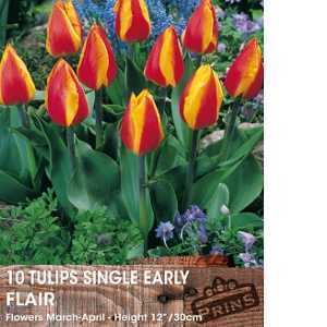 Tulip Bulbs Single Early Flair 10 Per Pack
